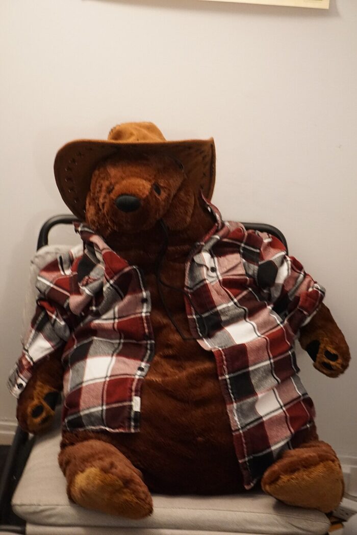 a djungelskog bear wearing a cowboy hat and a plaid flannel shirt